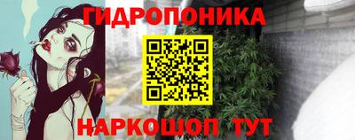 молекула духа Будённовск